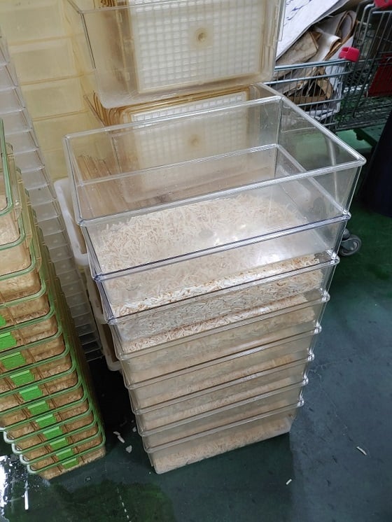 세척과 멸균을 끝낸 새 케이지/사진=류준영 기자