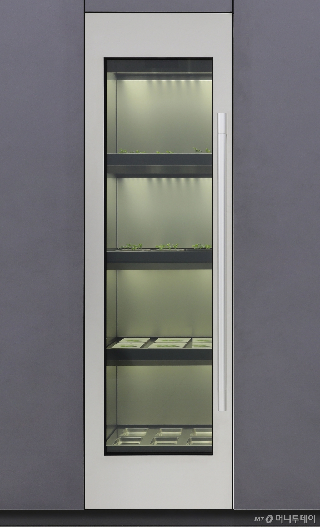 LG전자 식물재배기/사진제공=LG전자