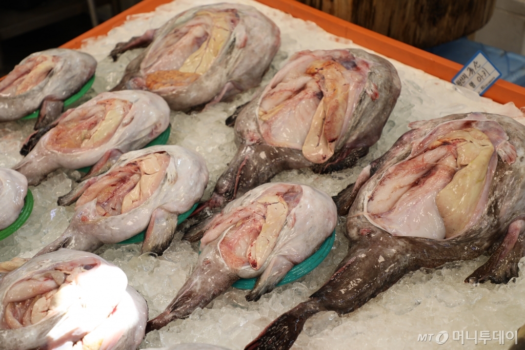 아귀/사진=유연수 에디터