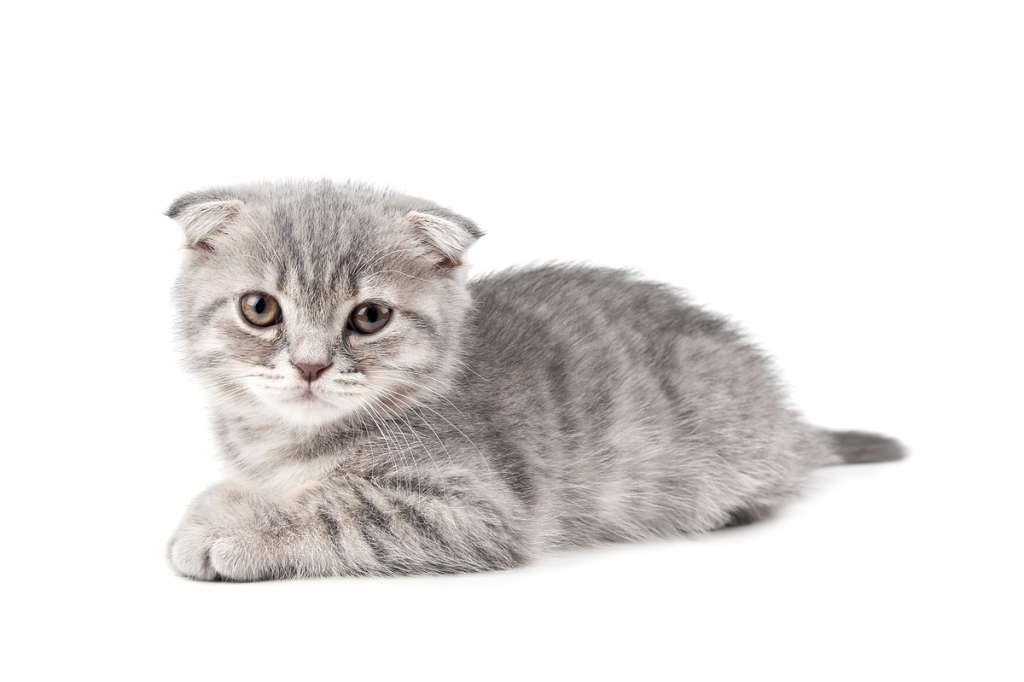 /사진=이미지투데이