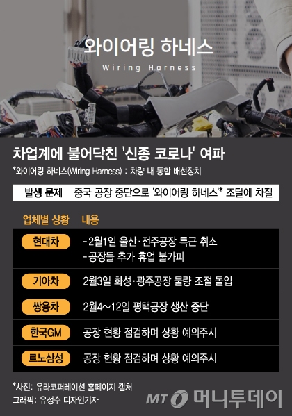 /그래픽=유정수 디자인기자