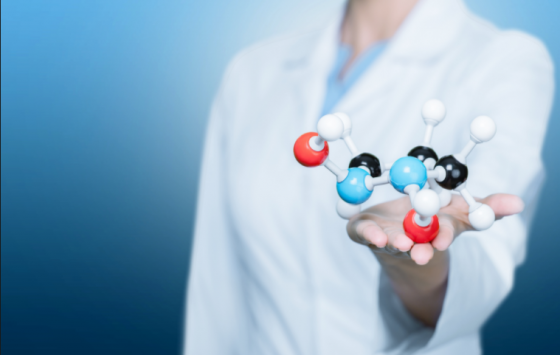 사진=버네벌런트AI 웹사이트