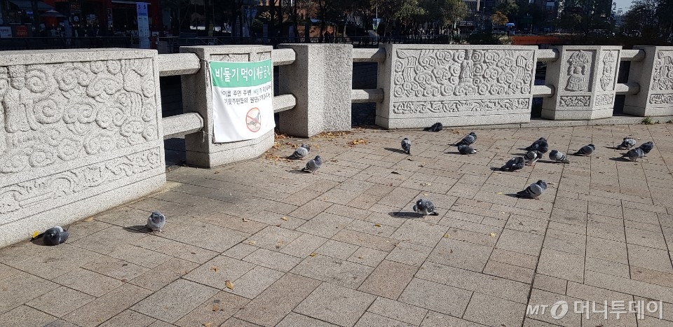 /사진 = 오진영 기자