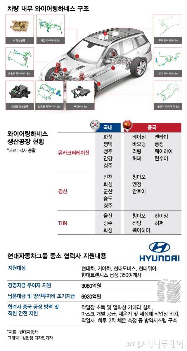 /그래픽=김현정 디자인기자