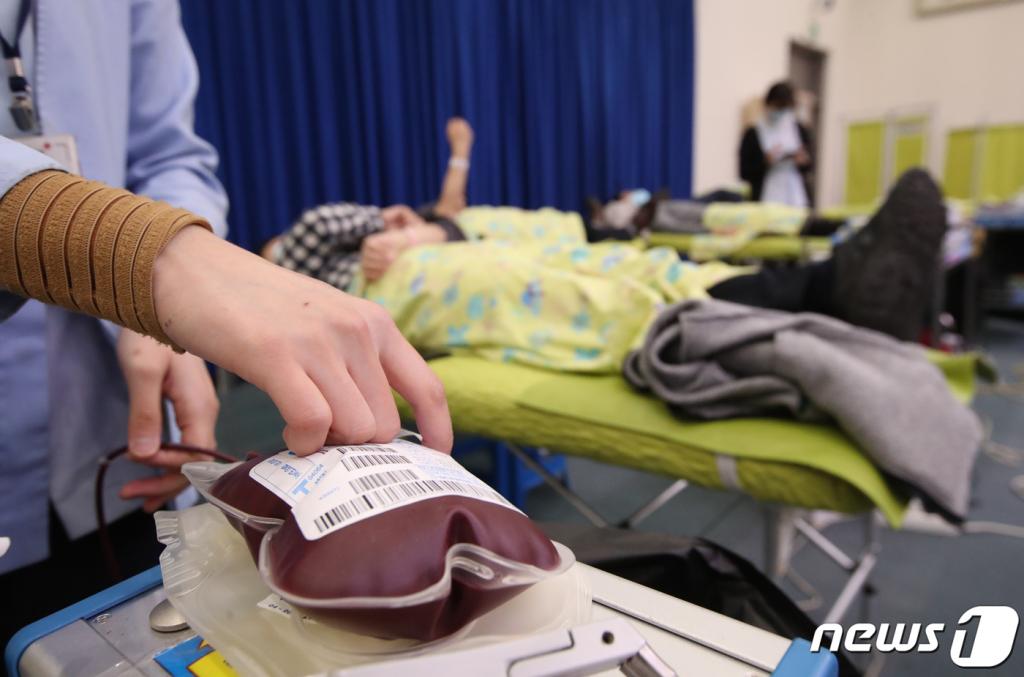 12일 오전 부산 연제구 부산시청 1층 대회의실에서 열린 '부산시 직원헌혈의 날'행사에 참가한 공무원들이 헌혈을 하고 있다./사진=뉴스1