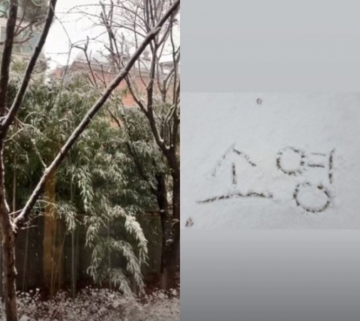 고소영은 지난 16일 자신의 인스타그램 스토리에 짧은 영상을 공개했다./사진=고소영 인스타그램