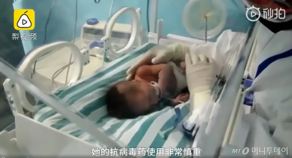 생후 17일 된 샤오샤오 /사진제공=우한TV 웨이보 영상 캡쳐