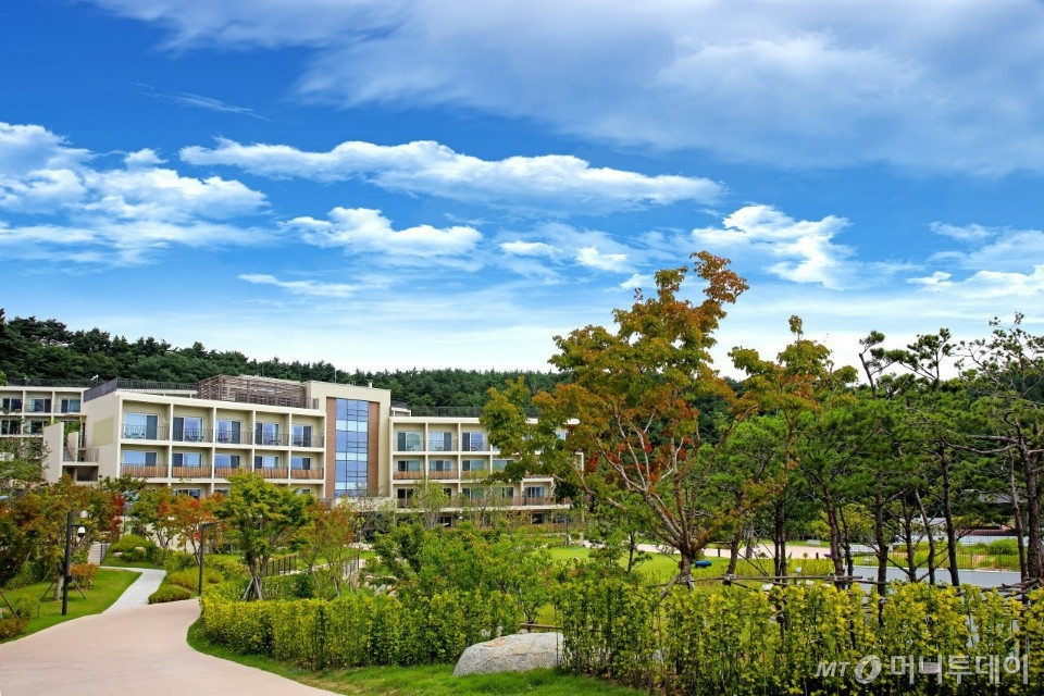 삼성 경북영덕연수원/사진제공=삼성