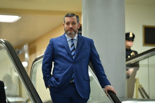 테드 크루즈 미 상원의원/사진=AFP