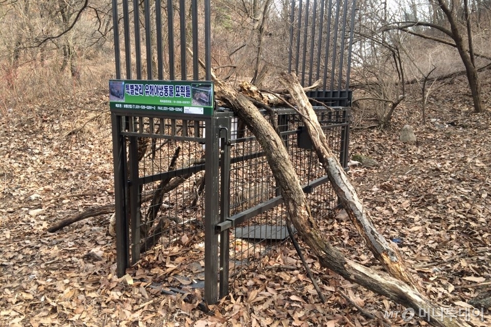 북한산 우이령 중턱에 설치된 멧돼지 포획용 철제 포획틀의 모습. /사진=이동우 기자