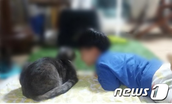 A씨 언니의 반려묘와 B군. (유족 측 제공) © 뉴스1