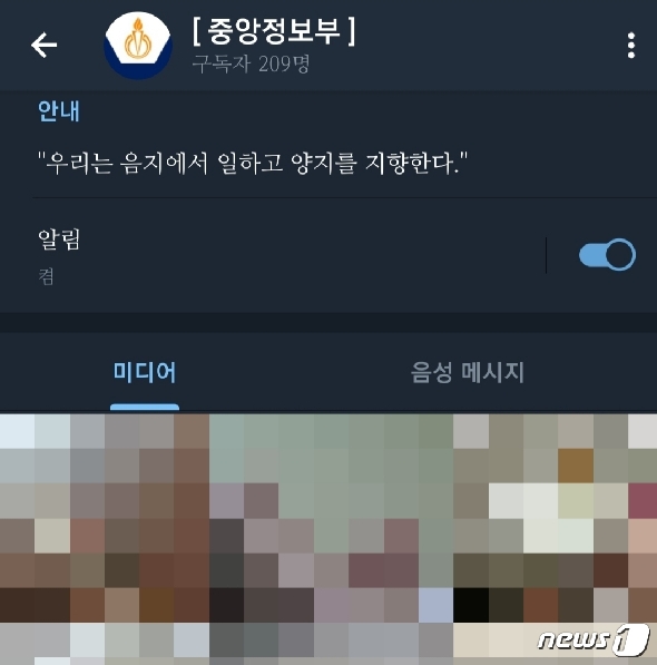 텔레그램 상 남성 청소년 나체사진을 유포 중인 '중앙정보부' 채팅방 소개 페이지 © 뉴스1