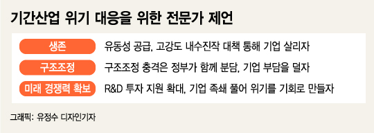 기간산업 위기 대응을 위한 전문가 제언./그래픽=유정수 디자인기자
