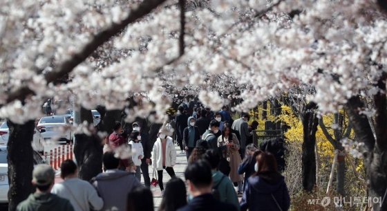 박인규 서울시립대 교수가 진행한 감염병 확산 입자충돌 시뮬레이션. 청개구리가 50%일 경우 급격한 전파양상을 보여준다./자료=박인규 교수