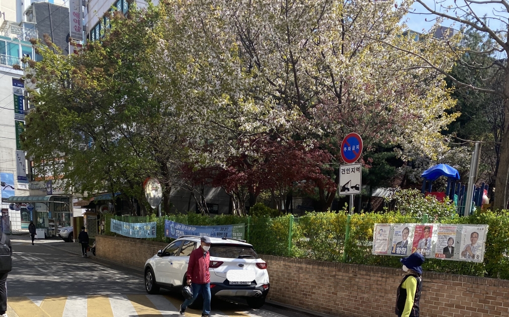 제한 시속 40km인 어린이보호구역을, 빠른 속도로 지나가던 차량. 이 차가 지나가자마자 빨간불로 바뀌었다./사진=남형도 기자