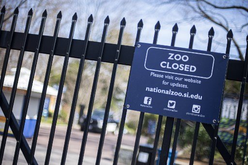 4월 9일(현지시간) 유로그룹 화상회의가 열린 가운데, 브뤼노 르메르 프랑스 재무장관 집무실 TV 화면에 비친 마리오 센테노 유로그룹 의장/사진=AFP