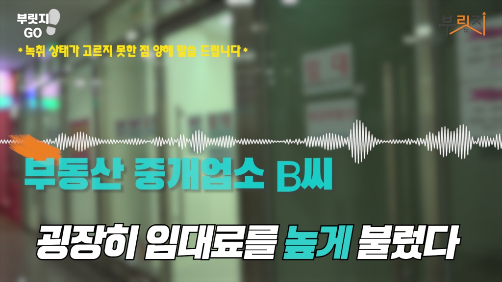 서울 송파구 가락동 헬리오시티 인근에서 영업을 하는 부동산 중개업소 B씨 /사진=부릿지 캡쳐