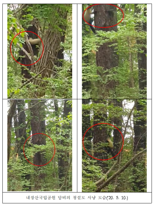 /사진제공=국립공원공단