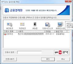 공인인증서/사진=캡처