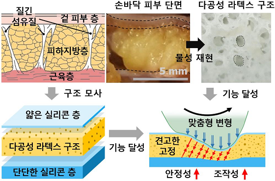 사람 피부 구조를 모사한 인체모사 3중층 인공피부 구조 인체모사 3중층 인공피부는 사람의 손바닥 피부 3중층을 모사하여 제작되었다. 왼쪽 위 그림과 같이 사람 손바닥 피부는 겉 피부층, 피하지방층, 근육층의 3층으로 이루어져 있는데 이 구조를 모사하여 아래 그림과 같은 인체모사 3중층 인공피부 구조가 제작되었다. 특히 피하지방층의 경우 물컹한 지방질 조직과 질긴섬유질 조직이 복합되어 비대칭적 물성을 가지는데, 이를 질긴 고무 격벽을 가지면서도 내부의 수많은 기공으로 인해 말랑말랑한 다공성 라텍스 구조(오른쪽 상단 그림)를 이용하여 재현하였다. 결과적으로 제작한 인체모사 3중층 인공피부 구조는 물체의 형상에 대해 피부구조가 밀착되게 변형되면서도 물체가 흔들리는 것은 질긴 격벽 구조가 견고하게 잡아주면서 안정성과 조작성을 모두 향상시킬 수 있다.제공 : 한국과학기술원 박형순 교수