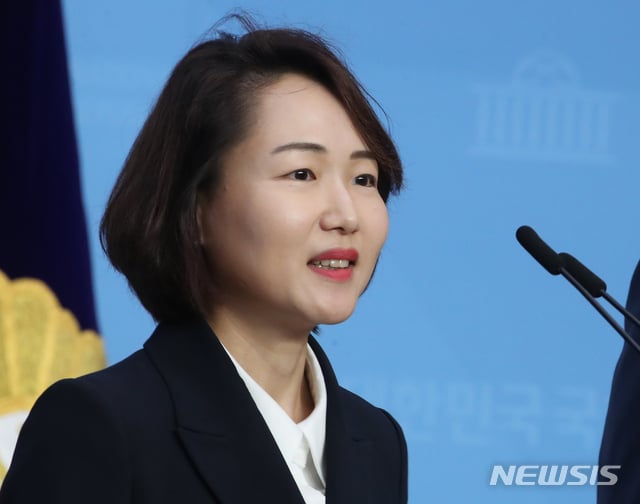 홍정민 더불어민주당 원내대변인/사진=뉴시스