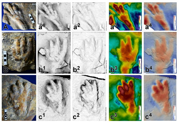 경남 사천시 공사현장에서 발견된 백악기 원시악어의 발자국 화석 표본과 3D 이미지./사진=진주교대