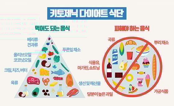 키토제닉 다이어트 식단/일러스트=게티이미지뱅크, 편집=이은 기자