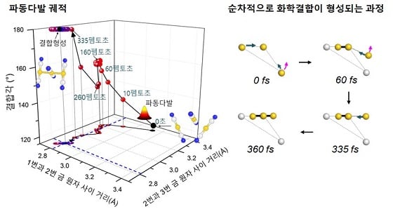 펨토초 엑스선 회절법으로 관찰한 금 삼합체의 화학결합 메커니즘펨토초 엑스선 회절법 실험을 적용하여 금 삼합체의 들뜬 상태에서의 파동 다발의 시간에 따른 위치를 다차원 핵좌표계 상에서 얻어내었다. 이를 통해 금 삼합체 내의 화학결합 생성 반응이 ‘비동기화된 화학결합 생성 메커니즘(asynchronous bond formation mechanism)'을 통해 일어나는 것을 밝혀냈다/사진=IBS