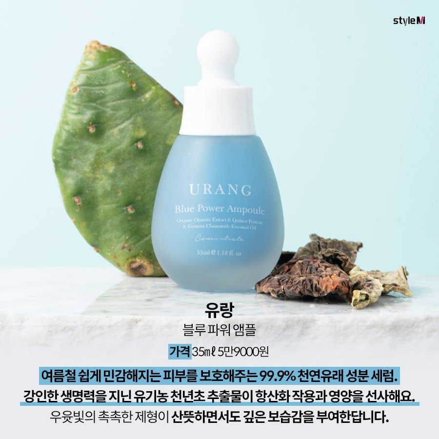 /사진제공=리얼베리어