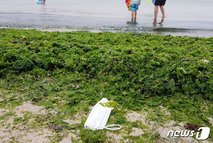 지난 9일 제주시 조천읍 함덕해수욕장에 마스크가 버려져 있다.2020.7.11 /뉴스1 ©News1 오현지 기자