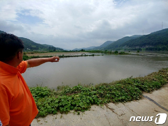 지난 4일 오전 강원 원주시 부론면 정산1리의 한 논이 지난 1일부터 내린 폭우로 침수됐다. 2020.8.4/뉴스1 © News1 박하림 기자