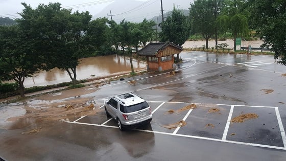 전남 담양군 지곡리 논이 빗물에 잠긴 모습/사진=박경담 기자