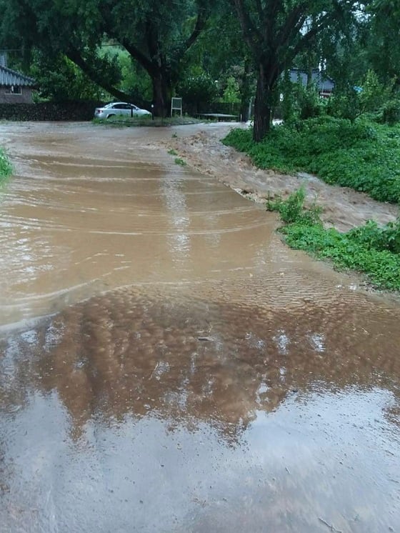 도로에 물이 차오른 전남 담양군 지곡리/사진=박경담 기자