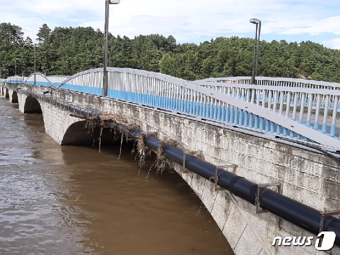 부리면 평촌리 한 하천의 모습. 용담댐의 방류로 하천이 범람한 것으로 보인다. 다리 외벽 곳곳에 수초가 걸려있는 모습이다.© 뉴스1 심영석 기자