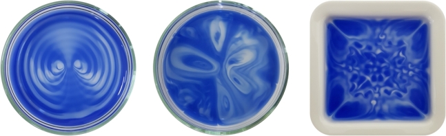 소리로 산화·환원 반응 조절 실험/사진=IBS

스피커에서 나오는 소리를 이용하여 생성된 다양한 패턴들. 상하로 흔들리는 접시 안의 염료 용액은 물결로 인하여 구역별로 서로 다른 화학적 환경을 가지게 된다. 위 사진에서는 파란색의 염료 분자(환원된 바이올로젠)가 산소를 만나 무색(산화된 바이올로젠)으로 바뀌는 과정에서 소리를 적용하여 생성된 색깔 패턴들을 확인할 수 있다. 패턴의 모양은 소리의 종류나 접시의 모양에 따라 조절할 수 있다.