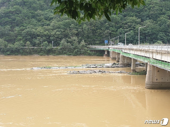 12일 떠내려간 하트 수초섬이 형체를 알아볼 수 없을 정도로 망가져 있다. 2020.8.12/뉴스1 © News1