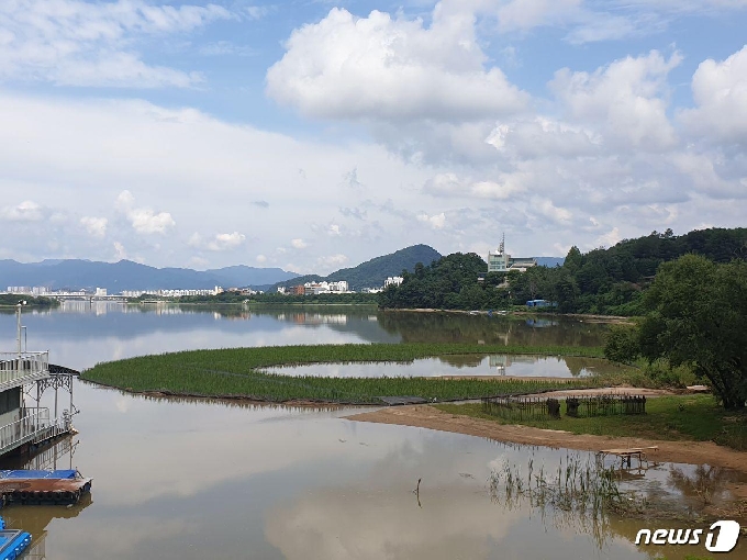 12일 남아 있는 하트 수초섬의 모습. 2020.8.12/뉴스1 © News1