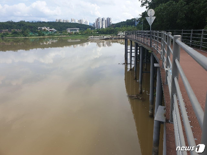 원래 하트 수초섬이 있었던 자리. 2020.8.12/뉴스1 © News1