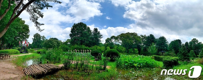 남이섬 일대 © 뉴스1