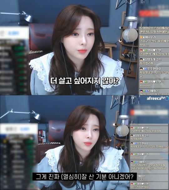 /사진=유튜버 겸 BJ 도아의 아프리카TV 방송화면
