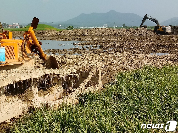 24일 전남 나주시 다시면 가흥리2구 앞 들녘에서 침수된 논 복구공사가 한창이다. 이곳은 지난 7일부터 내린 집중호우로 8일 오후 영산강의 지류인 문평천 제방이 무너지면서 농경지를 포함해 인근 마을까지 침수피해를 입은 곳이다.2020.8.24/뉴스1 © News1 박영래 기자