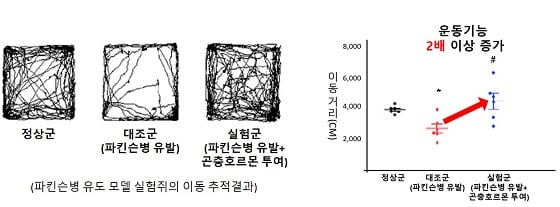 파킨슨병 효능 검증을 위한 운동성장애 행동평가 결과곤충호르몬인 20-하이드록시엑디손을 파킨슨병을 유도한 실험쥐에 투여 했을 때 파킨슨병으로 저하된 운동 기능이 2배 이상 회복되는 것을 확인했다/자료=한의학연