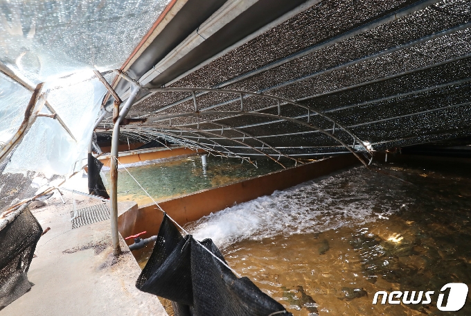 제 9호 태풍 '마이삭(MYSAK)'이 지나간 3일 오전 제주 서귀포시 성산읍의 한 광어 양식장 지붕이 강풍에 무너져 있다.2020.9.3/뉴스1 © News1 오현지 기자