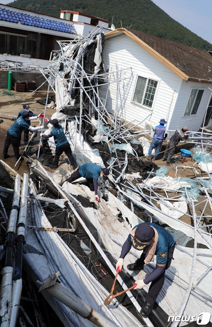 4일 제9호 태풍 '마이삭'으로 인해 제주 제주시 구좌읍 한 양식장의 철재물이 덮친 주택가에서 복구 작업이 한창이다. 이날 제주 해안경비단 125의경대가 대민 복구 지원활동을 벌였다.2020.9.4/뉴스1 © News1 홍수영 기자