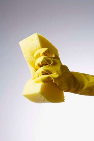 스펀지 이미지/자료사진=게티이미지뱅크