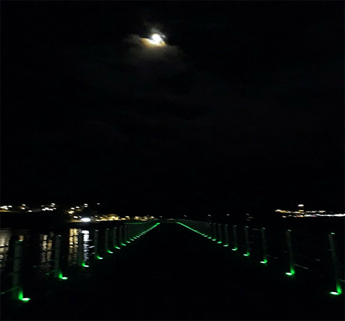 장도 입구 진섬교 LED 조명/사진=김현수