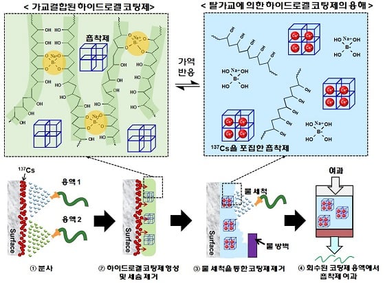 점착형 하이드로겔 기반 코팅제의 표면오염 제염 과정 개념도/자료=원자력연