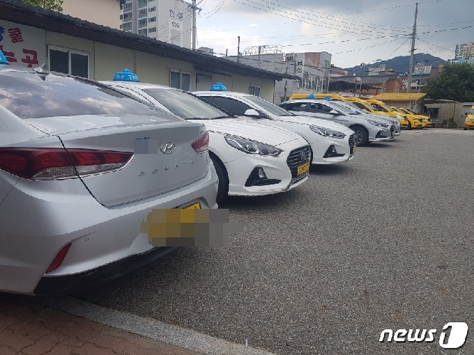 함양지역 한 택시회사 앞 손님을 기다리는 택시들이 줄지어 서있다© 뉴스1