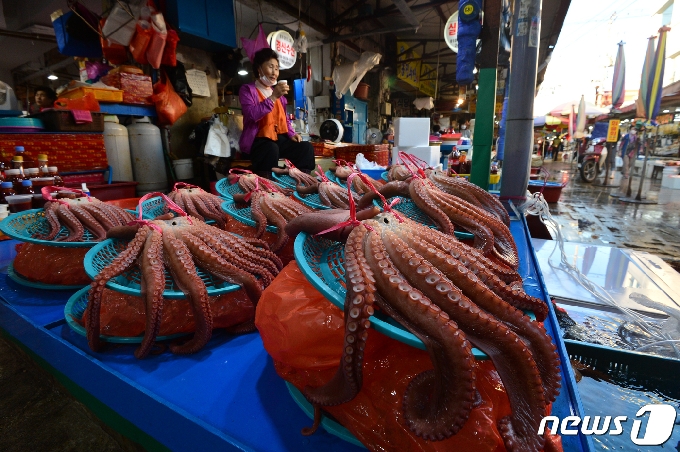 추석명절을 앞둔 20일 오전 경북 포항시 죽도어시장에 있는 문어 가게에서 방금 삶아낸 제수용 돌문어가 손님을 기다리고 있다. 문어가격은 1kg 6만~6만5000원 선이다. (구)22화일엄마는 "지금쯤이면 제수용 손님들이 제법 있었지만 올해는 신종코로나바이러스 감염증(코로나19)여파로 손님 발길이 뚝 끊어졌다. 올해가 가장 힘든 추석이 될 것 같다＂고 말했다. 2020.9.20 /뉴스1 © News1 최창호 기자