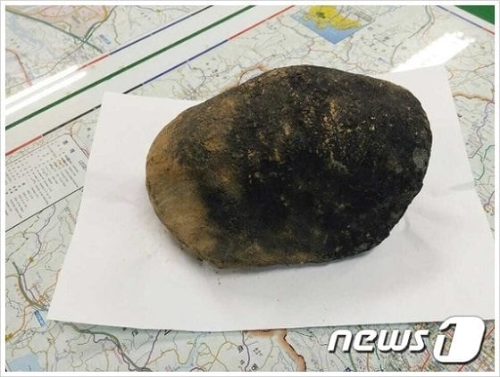 진주운석/사진=뉴스1